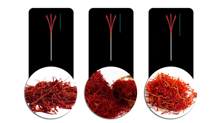 saffron types